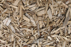 biomass boilers Danegate