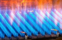 Danegate gas fired boilers